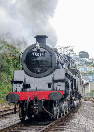 Purchase photo of 75014 BRAVEHEART at Dartmouth Steam Railway
